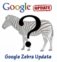 Google Zebra Update